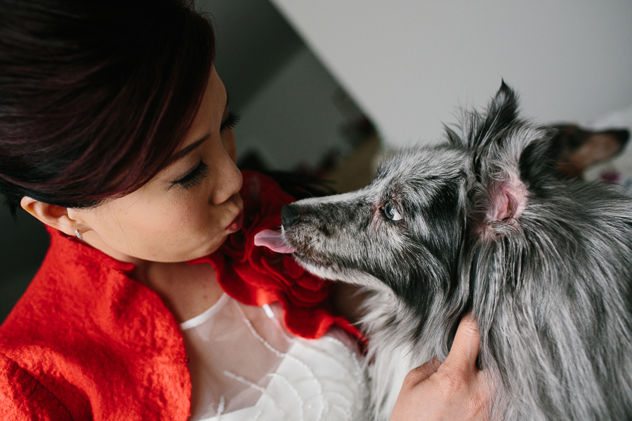 bride and her dog kissing canada wedding photographer