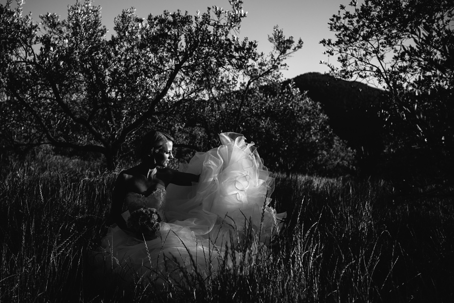 Wedding portrait of the bride in the olive groves of castello de