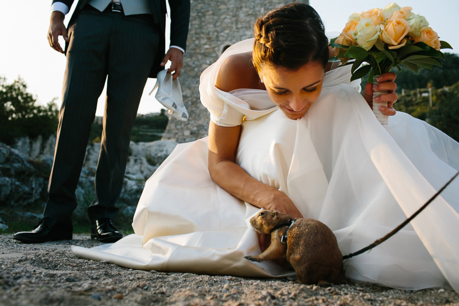 sposa con cane della prateria fotografo matrimonio