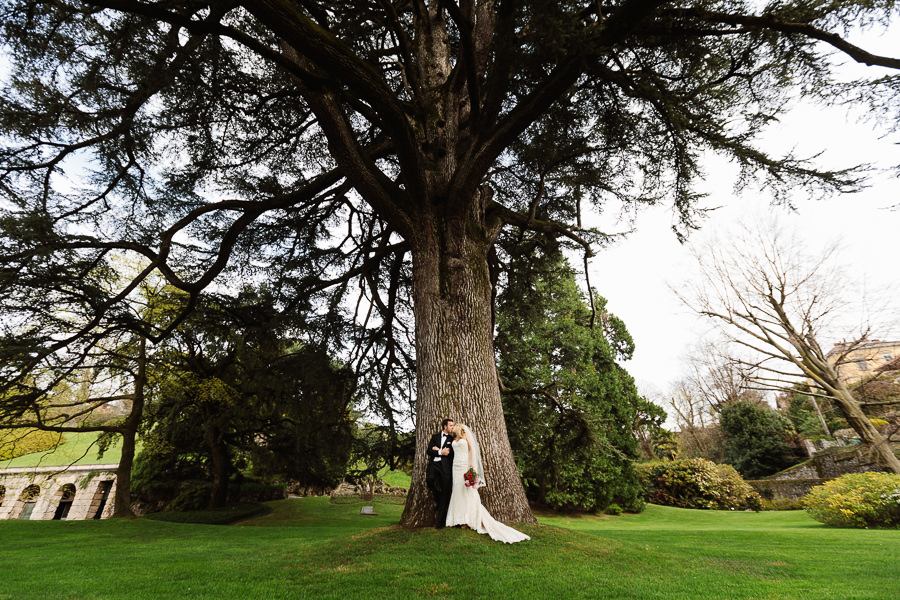 Tree with bride and groom at Villa Melzi